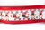 Red dog collar with a repeating pattern of reindeer wearing Santa hats. 