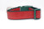 A red and green dog collar with a glitter red ribbon stripe.