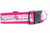 Life is Ruff Dog Collar 1 or 1.5" wide Dog Collar 