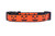 Fall dog collar