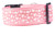 Glitter Pink Hearts Dog Collar 2" wide