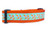Aqua Carrots 1 or 1.5" wide Dog Collar Aqua Carrots 1 or 1.5" wide Dog Collar