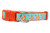 Aqua Carrots 1 or 1.5" wide Dog Collar Aqua Carrots 1 or 1.5" wide Dog Collar