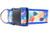 Coral Reef Dog Collar 2" wide