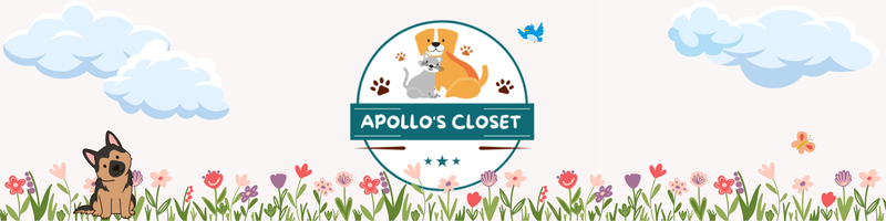 Apollo's Closet