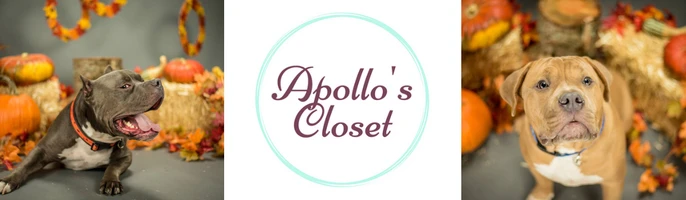 Apollo's Closet