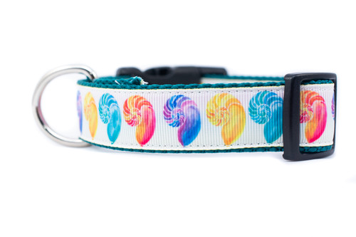 beach themed dog collars
