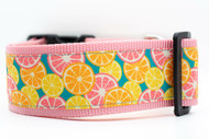 Citrus dog collar with lemons, grapefruits and oranges on teal ribbon with 2 inch wide pink nylon.