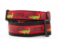 Lator gator dog collar with black nylon and red ribbon with alligators with words Lator Gator in black.  Top is 1 inch wide and bottom is 1.5 inch wide.