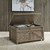 Parkland Falls - Weathered Taupe - Storage Trunk (172-OT1013) by Liberty Furniture