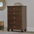 Danabrin - Brown - Chest of Drawers (B685-46) by Ashley