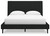 Cadmori - Black - Queen Upholstered Bed with Roll Slats (B2616-81) by Ashley