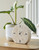 Donfordson - Beige - Table Clock (A2000660C) by Ashley