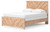 Sanginlane - Tan - Queen Panel Bed (B3787B4) by Ashley