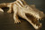 Lauretman - Antique Gold Finish - Sculpture (A2000765) by Ashley