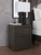 Fraluna - Charcoal - Nightstand (PCB3370-92) by Ashley