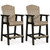 Fairen Trail - Black/Driftwood - Barstool (Set of 2) (P211-130) by Ashley