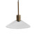 Chaness - Clear/Brass - Pendant Light (L000718) by Ashley