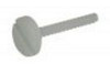 Sundance Spa Pillow Attachment Screw 6570-231