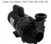 Balboa Vico 2 1/2 HP 230V 2-Speed Pump 1016204