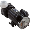 Coleman 2.5 HP 230v 2 Speed 103698B 