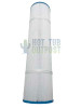 Coast Spa 100 SqFt Filter H51002 FC-2975 AK-40082 XLS-514 8R5100 PLST80 C-5396