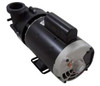 Maax Coleman 3HP 2-Speed 230V Pump 109982 Balboa