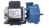 Gecko CMXP Spa Pump 1 Speed 230V 2" MBT 06310002-2370