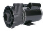 4 HP LX Spa Pump 2 Speed 230V 56WUA400-2/6