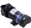Waterway Pump Ex2 1.5Hp 115V 1-Spd 17 Amp 3410610-1U