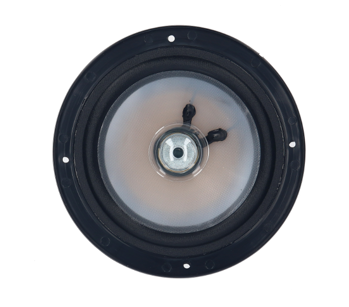 Dynasty Spa 6 Inch Speaker VX-165 15248