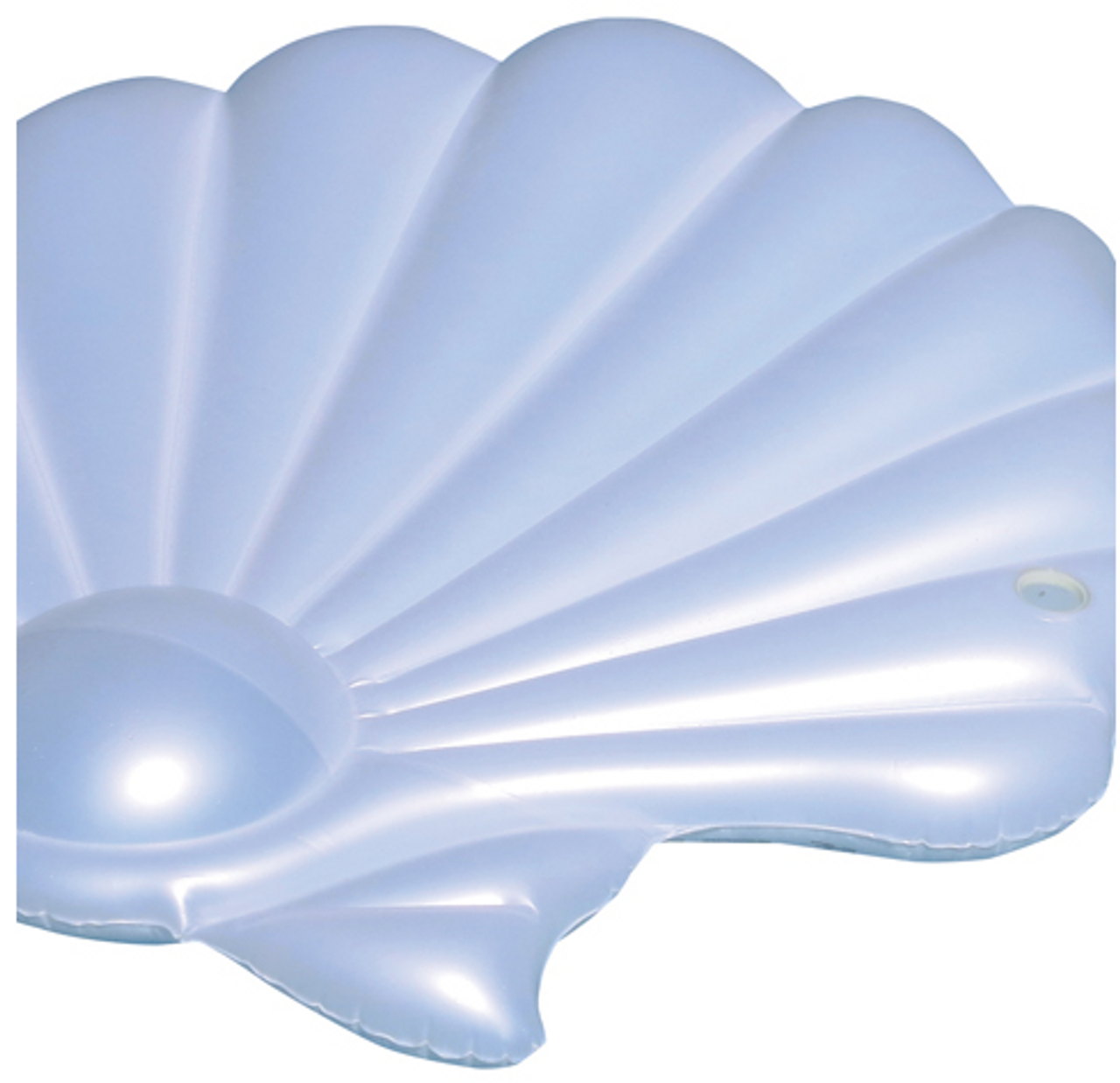 seashell float