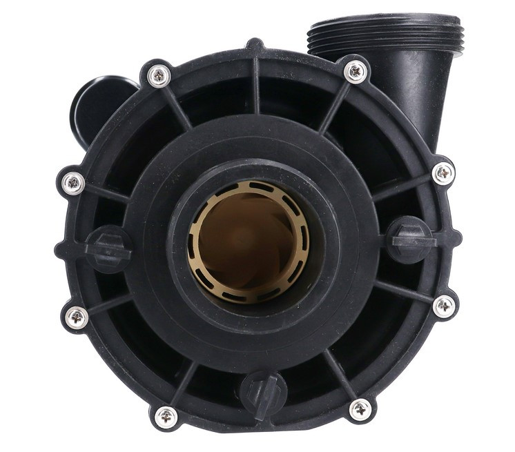 1.5 HP Sundance Jacuzzi LX Series Spa Pump 2 Speed 115V 6500-845