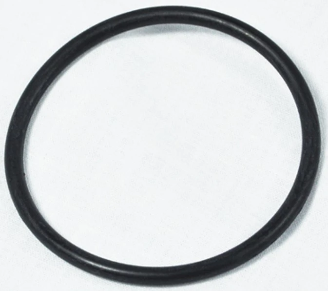 Pipe Ringe 2 Inch O-Ring Union 2-inch Hayward 805-0227