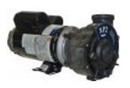 Sundance Spa 2 1/2 HP 2 Speed 240 Volt AquaFlo Pump And Motor