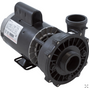 2HP spa pump new model 50009640