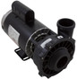 Waterway Executive Pump 4HP with Century 230v 2-Speed 56 frame 2-1/2", part number x 2", part number 3721621-13HZN.