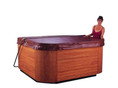 Hot Tub Cover Lifter Sale
