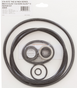 90-538-2038 pump sta-rite seal kit with o-rings