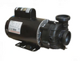 Dura Jet 3HP Pump DJAYHB-0103 2-Speed Pump