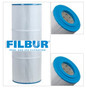 Filbur FC-0822 Spa Filter C-8414 PJANCS150-4