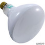 Pool Light Bulb Flood Lamp 300W 12V