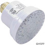 LED Bulb ColorSplash 3G 120V SpaBrite Astrolite II