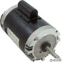 Century Polaris Booster Pump 1-Speed Motor 0.75HP 115V 230V