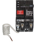Caldera Spa GFCI Breaker 20 Amp 240V 
