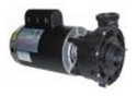 Jacuzzi Spa 2.5 Hp 240v 2 Speed 56 Frame Pump JAC6500-367