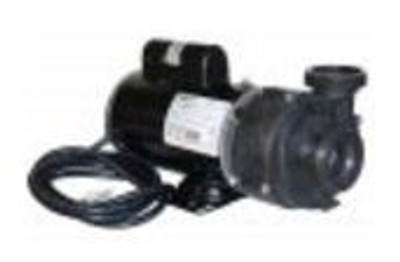 Sundance Spa 2 HP 1 Speed 240 Volt Vico Pump And Motor