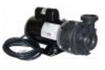 Sundance Spa 2 HP 2 Speed 240 Volt Vico Pump And Motor