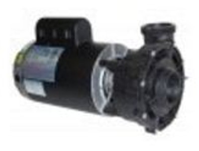 Sundance Spa 2.5 HP 240v 2 Speed 56 Frame Pump