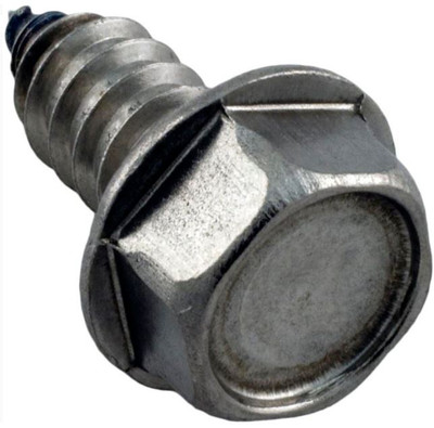 Screw Pentair Sta-Rite 5/16-14 x 5/8" U30-919SS